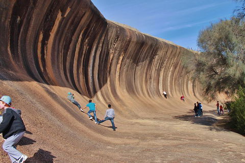 Wave Rock Half Day Air & Ground Tour - Accommodation Bookings 2