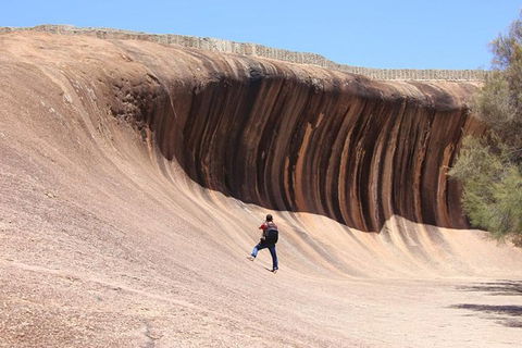 Wave Rock Half Day Air & Ground Tour - Accommodation Bookings 3