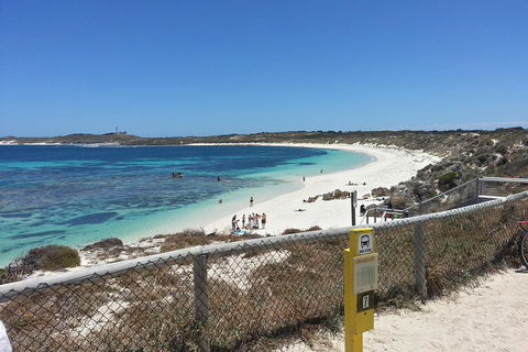 Wave Rock, Pinnacles And Rottnest One Day Aeroplane Tour - Accommodation Bookings 2