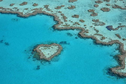 Reef And Island Scenic Flight From Airlie Beach - Accommodation Bookings 5