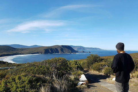 Small-Group Day Trip From Hobart To Bruny Island - Accommodation Bookings 0