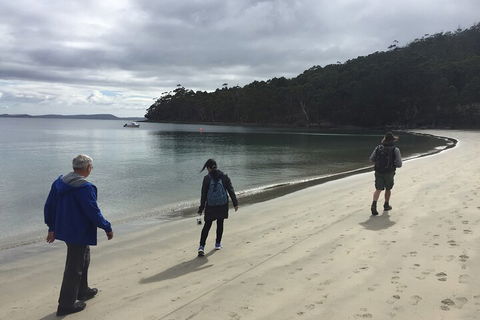 Small-Group Day Trip From Hobart To Bruny Island - Accommodation Bookings 1