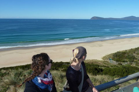 Small-Group Day Trip From Hobart To Bruny Island - Accommodation Bookings 3