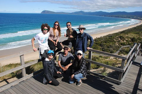 Small-Group Day Trip From Hobart To Bruny Island - Accommodation Bookings 4
