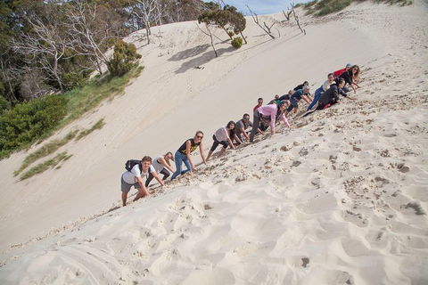 6-Day Tasmanian Explorer Adventure Tour From Hobart - Accommodation Bookings 2