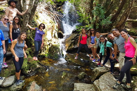 7-Day Super Value Tour Of Tasmania: Explore Tasmania's West And East Coasts - Accommodation Bookings 2