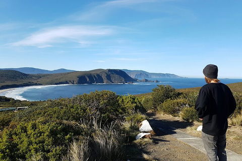 4-Day Fabulous Tasmania Tour: Wineglass Bay, Port Arthur, Devils & Bruny Island - Accommodation Bookings 0