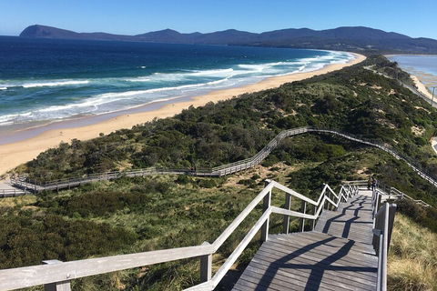 4-Day Fabulous Tasmania Tour: Wineglass Bay, Port Arthur, Devils & Bruny Island - Accommodation Bookings 5