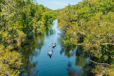 Cruise 'n' Canoe To Australia's Everglades - Accommodation Bookings 3