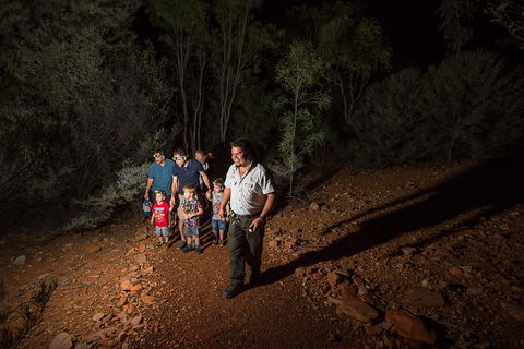 Alice Springs Desert Park Nocturnal Tour - Accommodation Bookings 0