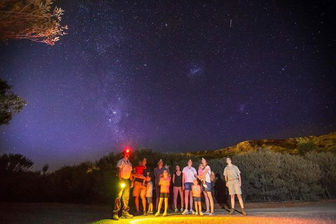 Alice Springs Desert Park Nocturnal Tour - Accommodation Bookings 2