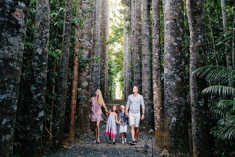 The Original Day Tour To Paronella Park, Lake Barrine And Millaa Millaa Falls - Accommodation Bookings 1