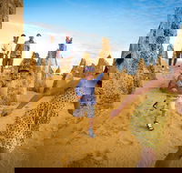 Full-Day Pinnacles Desert and Yanchep National Park Tour From Perth - Accommodation Bookings