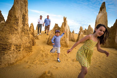Full-Day Pinnacles Desert And Yanchep National Park Tour From Perth - Accommodation Bookings 0