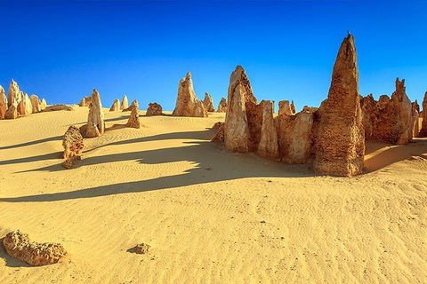 Full-Day Pinnacles Desert And Yanchep National Park Tour From Perth - Accommodation Bookings 2