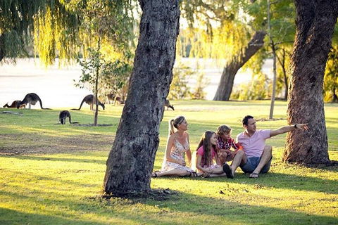 Full-Day Pinnacles Desert And Yanchep National Park Tour From Perth - Accommodation Bookings 3