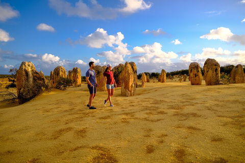 Full-Day Pinnacles Desert And Yanchep National Park Tour From Perth - Accommodation Bookings 4