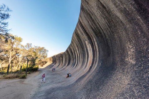 Full-Day Wave Rock & Historic York - Accommodation Bookings 0
