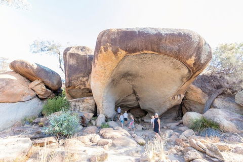 Full-Day Wave Rock & Historic York - Accommodation Bookings 5