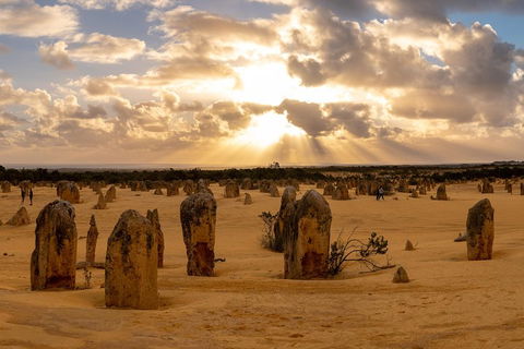 Half Day Pinnacles Sunset Tour - Accommodation Bookings 0