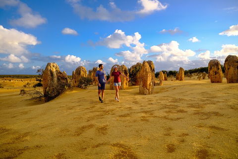 Half Day Pinnacles Sunset Tour - Accommodation Bookings 1