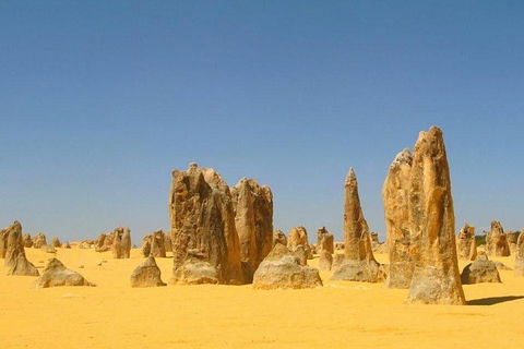 Half Day Pinnacles Sunset Tour - Accommodation Bookings 5
