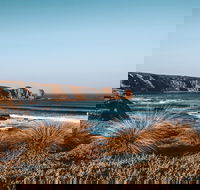 Small Group - Phillip Island Hike  Penguin Parade Day Tour from Melbourne - Accommodation Bookings
