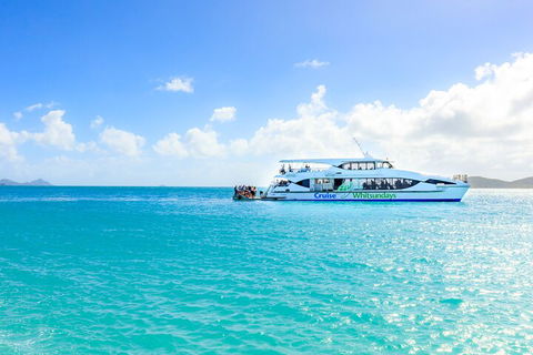 Whitehaven Beach And Daydream Island Cruise - Accommodation Bookings 2