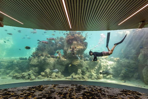 Whitehaven Beach And Daydream Island Cruise - Accommodation Bookings 4