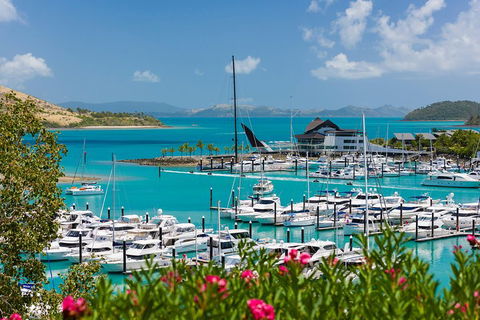 Whitehaven Beach And Hamilton Island Cruise - Accommodation Bookings 3