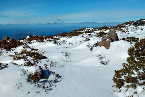 Mount Wellington Ultimate Experience Tour From Hobart - Accommodation Bookings 1