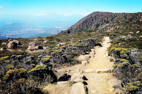 Mount Wellington Ultimate Experience Tour From Hobart - Accommodation Bookings 5