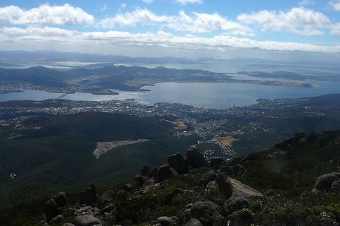 Mt Wellington Tour And MONA Admission - Accommodation Bookings 2