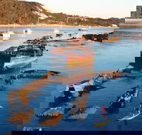 Adventure Moreton Island Wrecks Adventure Package - Accommodation Bookings