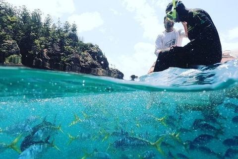 2 Night Small Group Whitsundays Sailing Adventure Aboard Mandrake - Accommodation Bookings 5