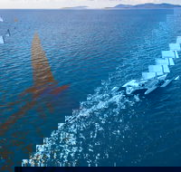 2-Night Whitsunday Islands Sailing Adventure on Trimaran Avatar