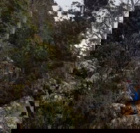 kunanyi / Mt. Wellington Guided Hiking Tour - Accommodation Bookings