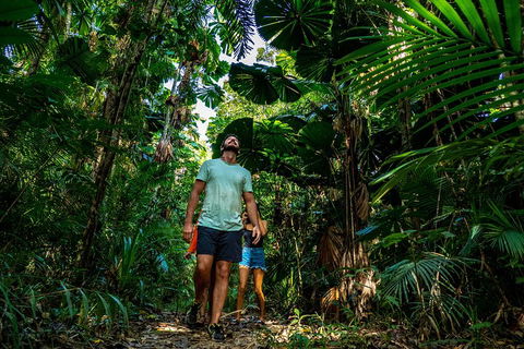 Full Day Daintree Rainforest And Mossman Gorge Tour - Accommodation Bookings 0