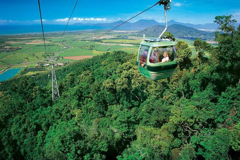 Cairns ATV Adventure Tour And Morning Skyrail - Accommodation Bookings 2