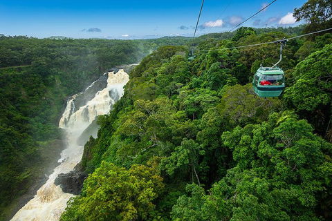 Cairns ATV Adventure Tour And Morning Skyrail - Accommodation Bookings 3