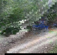 Cairns ATV Adventure Tour and Morning Train - Accommodation Bookings
