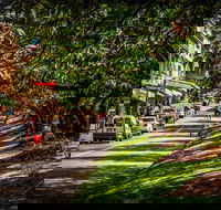 Fully Inclusive Blue Mountains Private Tour inc Scenic World  Featherdale entry - Accommodation Bookings
