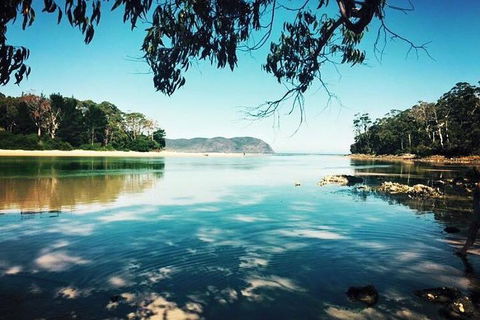 Full-Day Guided Bruny Island Tour From Hobart - Accommodation Bookings 1