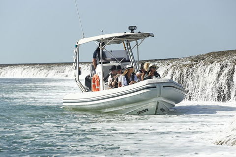 Cygnet Bay Explorer - Accommodation Bookings 2