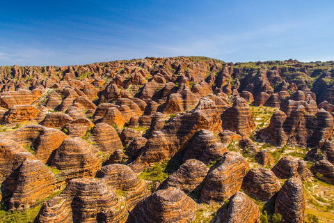 Bungle Bungle Explorer - Accommodation Bookings 1