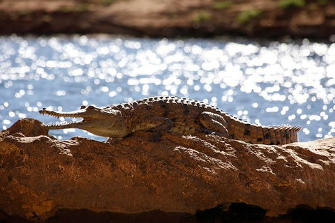Windjana Explorer - Accommodation Bookings 5