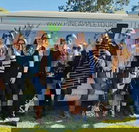 Full Day Mount Tamborine Winery Tour from Gold Coast - Accommodation Bookings