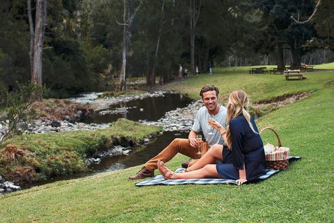 Mt Tamborine - Hinterland Wonders Self Guided - Accommodation Bookings 0