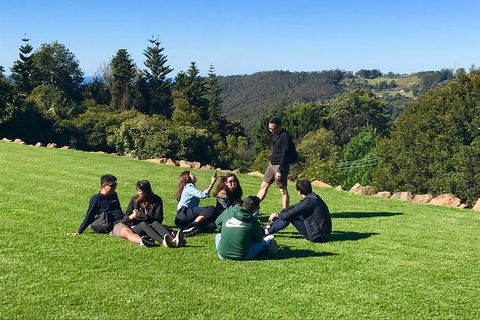 Mt Tamborine - Hinterland Wonders Self Guided - Accommodation Bookings 1