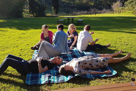 Mt Tamborine - Hinterland Wonders Self Guided - Accommodation Bookings 2